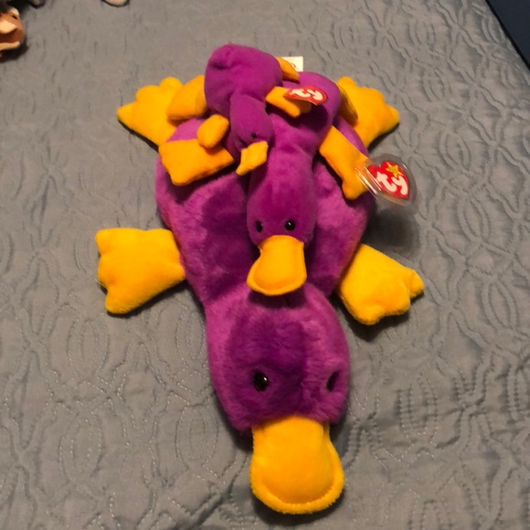 ty beanie platypus